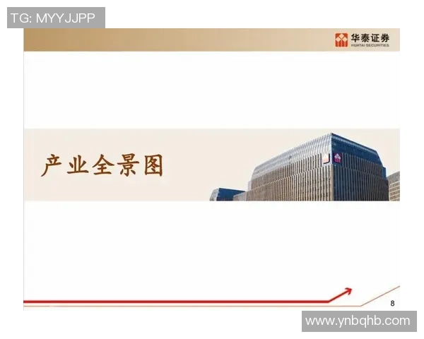 重庆篮球队包夹战术的创新与发展全景解析 重庆篮球队包夹战术的创新与发展全景解析