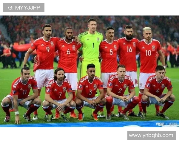 中国队与威尔士队比赛前瞻分析及双方实力对比探讨