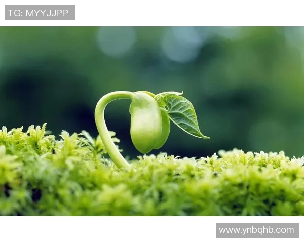 朱旭航：探索未来科技的先锋之路与创新思维的实践探索