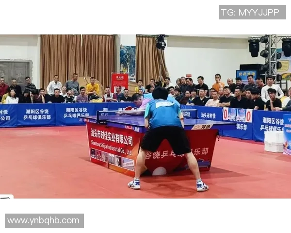 陈磊专访：从青涩少年到乒乓球冠军的奋斗与成长之路MBA