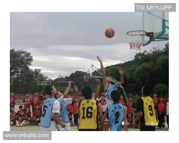 吴丽独家分享篮球心得与技巧助你提升球技的秘诀与经验总结