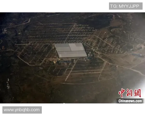 重磅专题：探索北京飞盘队在战术控制上的创新与突破